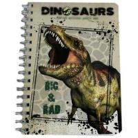 Opakowanie Notes spiralny A6 Dinozaur (10szt) DERFORM
