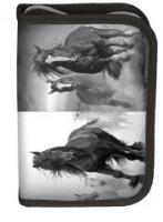 Opakowanie Piórnik Horse 17-001HO/B PASO