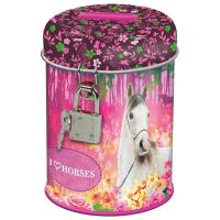 Opakowanie Skarbonka z kłódką Konie 15 DERFORM