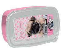 Opakowanie Śniadaniówka Studio Pets PEY-3022