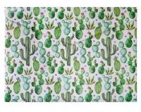 Opakowanie Teczka A4 Kaktus