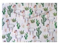Opakowanie Teczka A4 Lama Kaktus