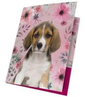 Opakowanie Teczka z gumką A4 18-109PS