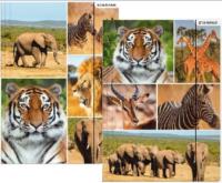 Opakowanie Teczka z gumką A4 dzikie zwierzęta