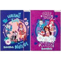 Opakowanie Teczka z gumką A4 Enchantimals