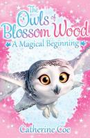 The Owls of Blossom Wood: A Magical Beginning. Autor: Coe Catherine. SmakLiter.pl Okładka książki The Owls of Blossom Wood: A Magical Beginning