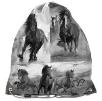 Opakowanie Worek na buty Horse 17-712HO PASO
