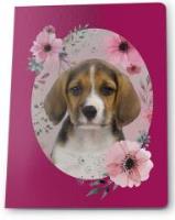 Zeszyt A5/16K kratka (5szt) PASO. Wydawca: Paso. SmakLiter.pl Opakowanie Zeszyt A5/16K kratka (5szt) PASO