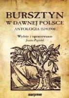 Bursztyn w dawnej Polsce. Antologia 1534-1900. Autor: praca zbiorowa. SmakLiter.pl Okładka książki Bursztyn w dawnej Polsce. Antologia 1534-1900
