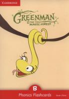 Greenman and the Magic Forest B Phonics Flashcards. Autor: Elliott Karen. SmakLiter.pl Okładka książki Greenman and the Magic Forest B Phonics Flashcards