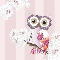 Opakowanie Karnet Swarovski kwadrat CL0511 Różowa sowa