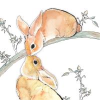 Opakowanie Karnet Swarovski kwadrat CL1213_BL Króliki na gałę