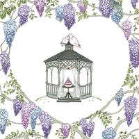 Opakowanie Karnet Swarovski kwadrat CL2410 Altana