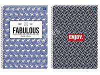 Opakowanie Kołozeszyt B5/100K kratka Metallic kol.mar. (5szt)