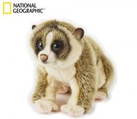 Kukang. Wydawca: National Geographic. SmakLiter.pl Opakowanie Kukang