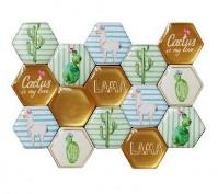 Okładka książki Magnesy Kaktusy i Lama