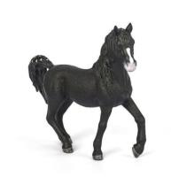 Opakowanie Ogier rasy Arabskiej