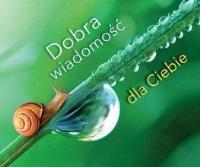 Perełka 288 Dobra wiadomość dla Ciebie. Autor: Opracowanie zbiorowe. SmakLiter.pl Okładka książki Perełka 288 Dobra wiadomość dla Ciebie