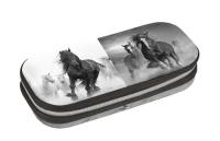 Opakowanie Piórnik bez wyposażenia Paso Horse