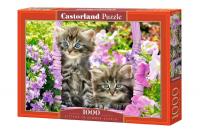 Opakowanie Puzzle 1000 Kittens in Summer Garden CASTOR