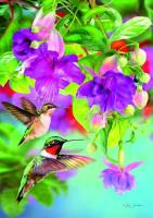 Opakowanie Puzzle 1000 Kolibry