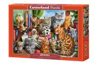 Puzzle 2000 House of Cats. Wydawca: Castorland. SmakLiter.pl Opakowanie Puzzle 2000 House of Cats
