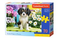 Puzzle 70 Spaniel in flowers CASTOR. Wydawca: Castorland. SmakLiter.pl Opakowanie Puzzle 70 Spaniel in flowers CASTOR