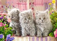 Puzzle Three Grey Kittens 260. Wydawca: Castorland. SmakLiter.pl Opakowanie Puzzle Three Grey Kittens 260