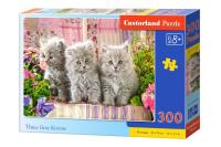 Opakowanie Puzzle Three Grey Kittens 300