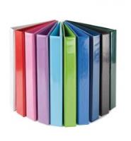 Opakowanie Segregator Focus Panorama A4 40MM/4D pastel ziel.