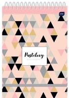 Szkicownik pastel 242x340 80kartek. Wydawca: Noster. SmakLiter.pl Opakowanie Szkicownik pastel 242x340 80kartek