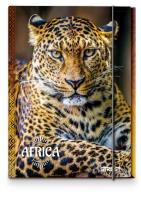 Opakowanie Teczka A4 z gumką Africa STREET