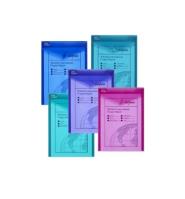 Opakowanie Teczka kopertowa Snopake Polyfile P A6 pion 5 sztuk mix