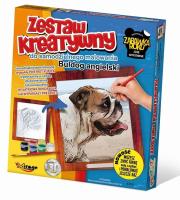 Opakowanie Zestaw Kreatywny do malowania - Buldog Angielski