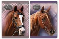 Opakowanie Zeszyt A5 Nice and Pretty w kratkę 60 kartek 5 sztuk mix