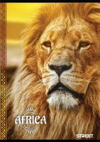 Opakowanie Zeszyt A6/40K Africa (10szt) STREET