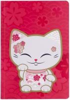 Opakowanie NOTES B6 LINIA CAT CZERWONY MS005