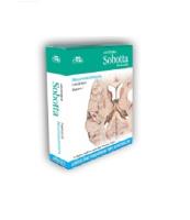Anatomia Sobotta Flashcards Neuroanatomia.. Autor: Bräuer L.. SmakLiter.pl Okładka książki Anatomia Sobotta Flashcards Neuroanatomia.