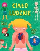 Ciało ludzkie. Autor: Mattia Fontana. SmakLiter.pl Okładka książki Ciało ludzkie