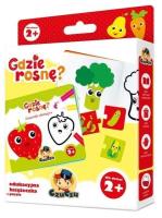 Gdzie rosnę? Edukacyjna książeczka + puzzle. Wydawca: Bright Junior Media. SmakLiter.pl Opakowanie Gdzie rosnę? Edukacyjna książeczka + puzzle