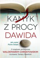 Kamyk z procy Dawida. Autor: Chrostowski Waldemar, opr Rowiński Tomasz. SmakLiter.pl Okładka książki Kamyk z procy Dawida