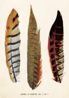 Opakowanie Karnet ST235 B6 + koperta Pióra