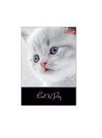 Kołozeszyt A5/120K kratka 1068 Cat&Dog. Wydawca: DAN-MARK. SmakLiter.pl Opakowanie Kołozeszyt A5/120K kratka 1068 Cat&Dog