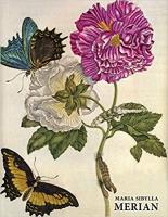 MARIA SIBYLLA MERIAN. Autor: Kiecol Daniel. SmakLiter.pl Okładka książki MARIA SIBYLLA MERIAN