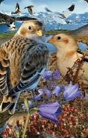 Opakowanie Mini kartka 3D Śnieguła