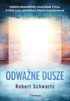 Odważne dusze. Autor: Schwartz Robert. SmakLiter.pl Okładka książki Odważne dusze