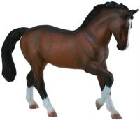 Opakowanie Ogier Warmblood Stallion - Bay