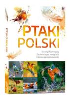 Ptaki Polski. Autor: Marchowski Dominik. SmakLiter.pl Okładka książki Ptaki Polski