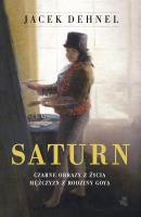 SATURN CZARNE OBRAZY Z ŻYCIA MĘŻCZYZN Z RODZINY GOYA. Autor: Dehnel Jacek. SmakLiter.pl Okładka książki SATURN CZARNE OBRAZY Z ŻYCIA MĘŻCZYZN Z RODZINY GOYA