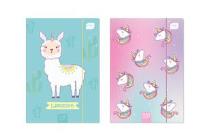 Opakowanie Teczka z gumką A4+ LUX UV Unicaty (10szt)